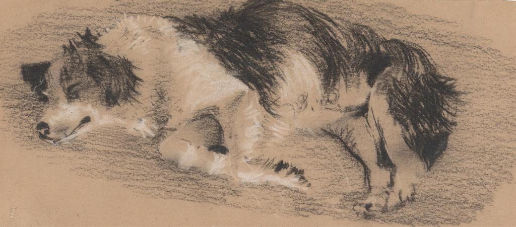 I am a good&nbsp;dog