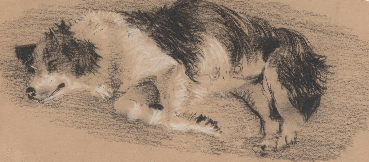 I am a good&nbsp;dog